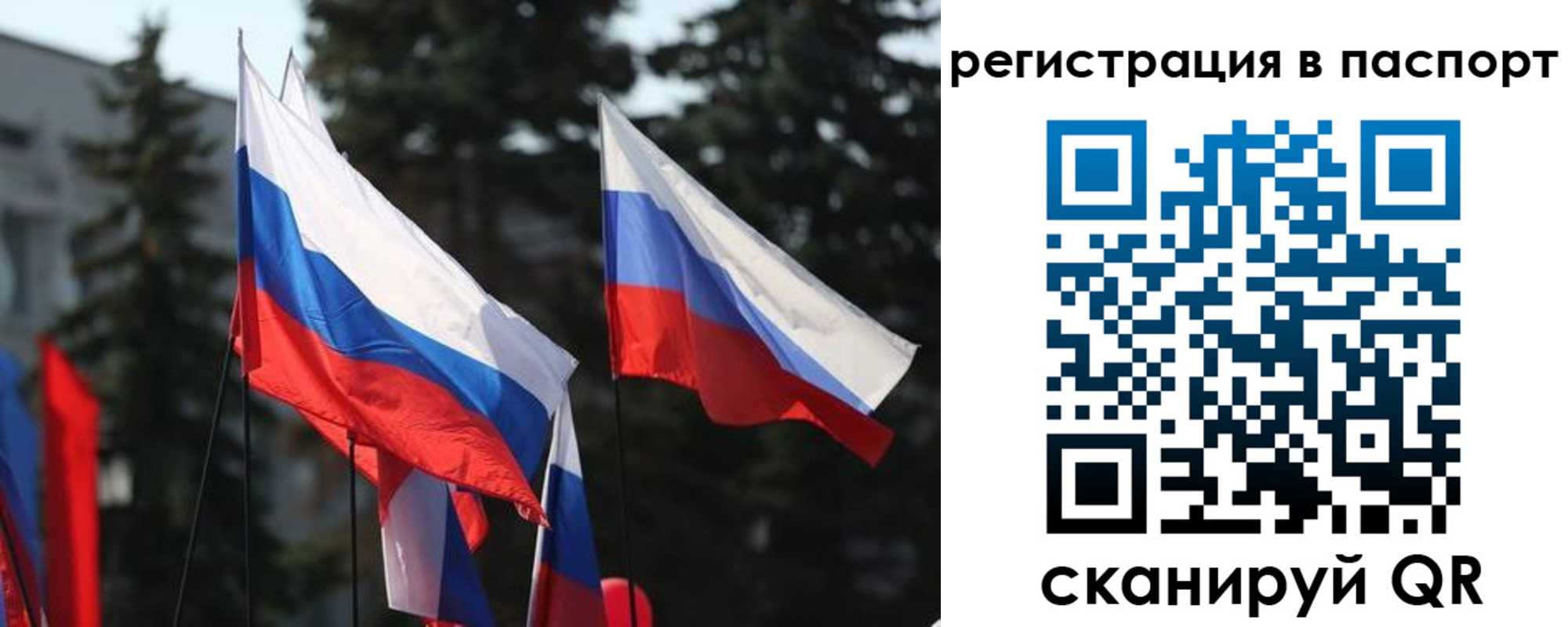 прописка штамп в Козловке